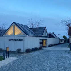 Local Vineyards and Wine Tasting - Budakeszi