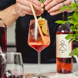 Local Vineyards and Wine Tasting - Budakeszi