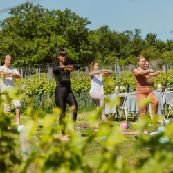 Local Vineyards and Wine Tasting - Budakeszi