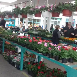 Cegléd Market Hall - Cegled