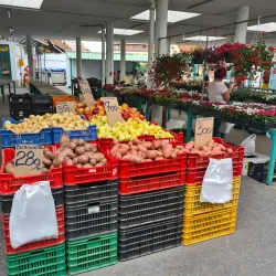 Cegléd Market Hall - Cegled