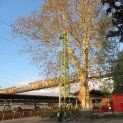 Cegléd Railway Station - Cegled