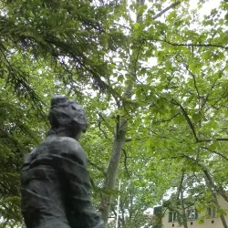 Csongrád Cultural Center - Csongrad