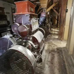 Csongrád Mill - Csongrad