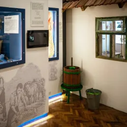 Csongrád Museum - Csongrad