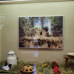 Csongrád Museum - Csongrad