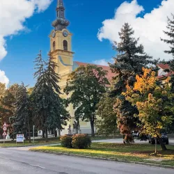 Csongrád Town Hall - Csongrad