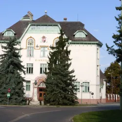 Csongrád Town Hall - Csongrad