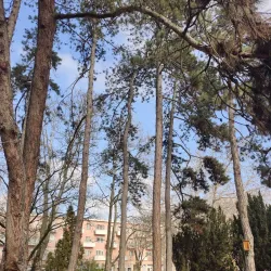 Szentháromság Square - Csongrad