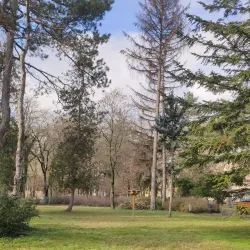 Szentháromság Square - Csongrad