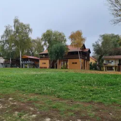 Tisza River Fishing Spots - Csongrad