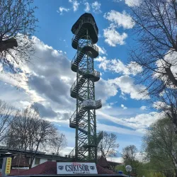 Tisza River Fishing Spots - Csongrad