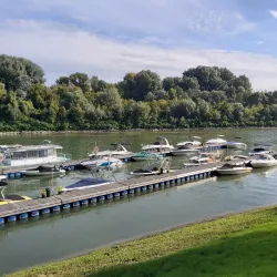 Tisza River Fishing Spots - Csongrad