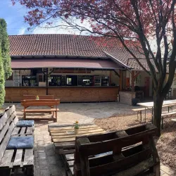 Tisza Riverbank - Csongrad