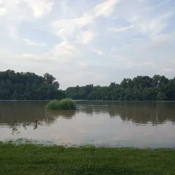 Tisza Riverbank - Csongrad