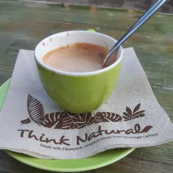 Tisza Riverbank - Csongrad