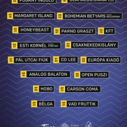 Tisza Riverbank - Csongrad