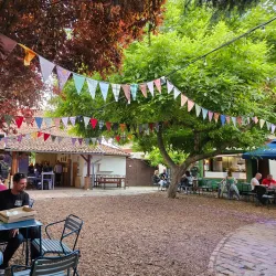 Tisza Riverbank - Csongrad