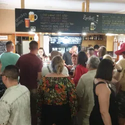 Tisza Riverbank - Csongrad