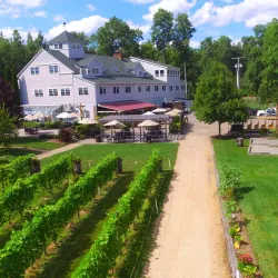 Local Vineyards and Wine Tasting - Csorna