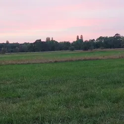 Dabas Arboretum - Dabas