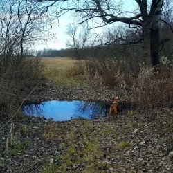 Dabas Arboretum - Dabas