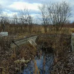 Dabas Arboretum - Dabas