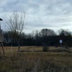 Dabas Arboretum - Dabas