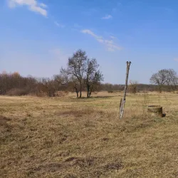 Dabas Arboretum - Dabas