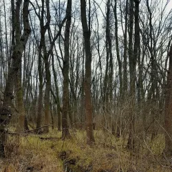 Dabas Arboretum - Dabas