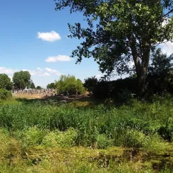 Dabas Historical Cemetery - Dabas