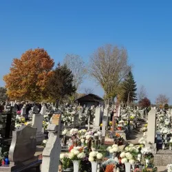 Dabas Historical Cemetery - Dabas