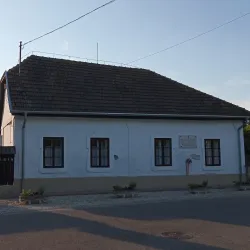 Kossuth Square - Dabas