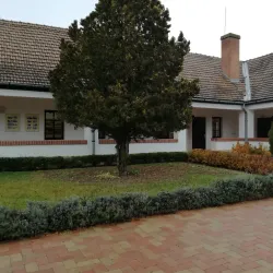 Kossuth Square - Dabas