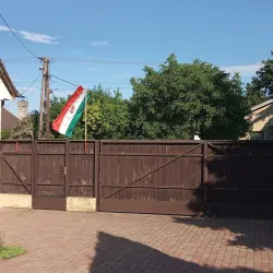 Kossuth Square - Dabas