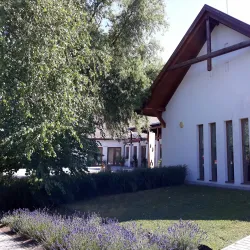 Local Cultural Center - Dabas