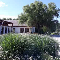 Local Cultural Center - Dabas