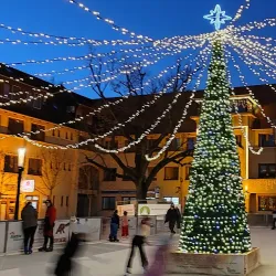 Szent István Park - Dabas