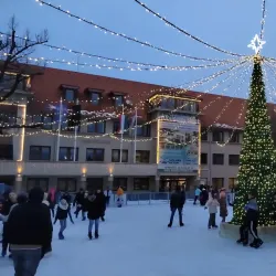Szent István Park - Dabas