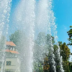 Szent István Park - Dabas