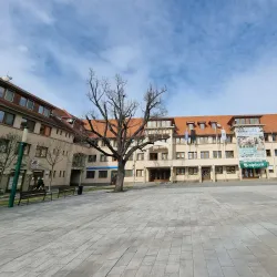 Szent István Park - Dabas