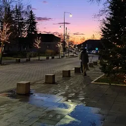 Szent István Park - Dabas