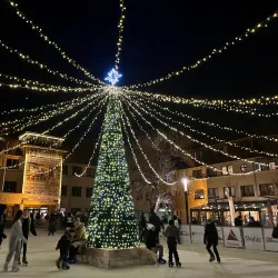 Szent István Park - Dabas