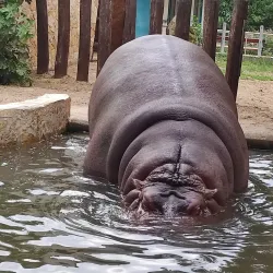 Debrecen Zoo and Amusement Park - Debrecen