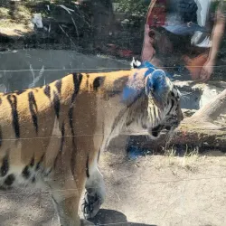 Debrecen Zoo and Amusement Park - Debrecen