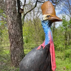 Debrecen Zoo and Amusement Park - Debrecen