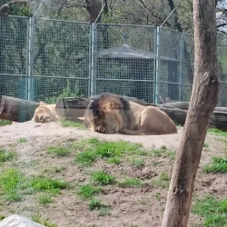 Debrecen Zoo and Amusement Park - Debrecen