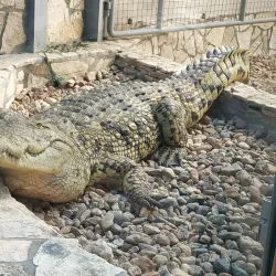 Debrecen Zoo and Amusement Park - Debrecen