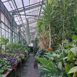 University of Debrecen Botanical Garden - Debrecen