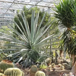 University of Debrecen Botanical Garden - Debrecen